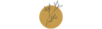 anMUT evolution.lab